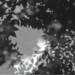 http://alpha.lightizm.com/files/gimgs/th-76_71_Nostalgia2_v2.jpg